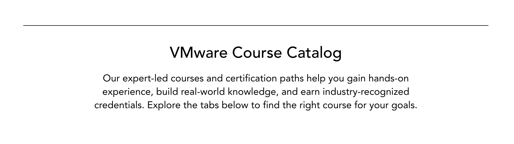 VMWare LP (21)-1