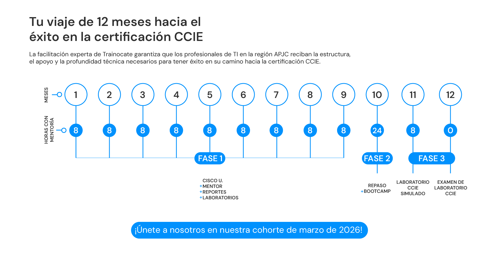 ccie-español-04